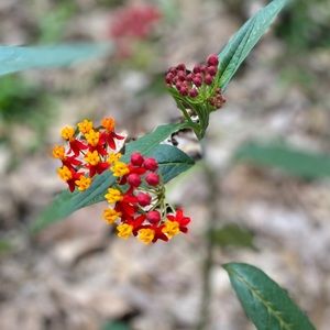 Meet your Posher, Marci